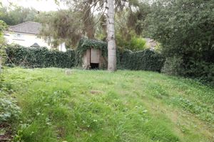 Photo 11- click for photo gallery